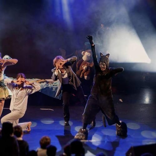 Théâtre Le Bocal 2