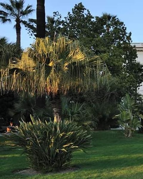 Villa Masséna, musée d'art et d'histoire