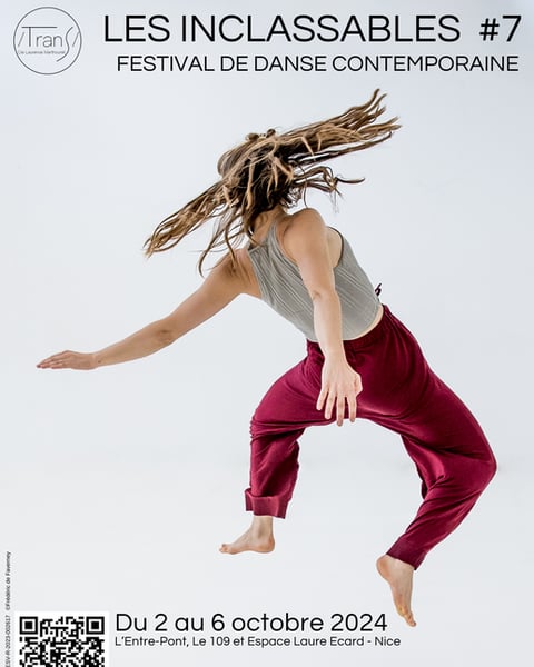Festival Les Inclassables 2027