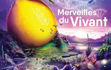 Fête du citron à Menton