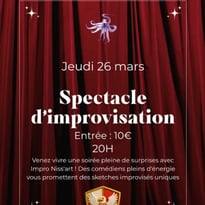 Spectacle d'improvisation, Impro Niss'art