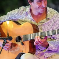 Swing du Sud, Jazz manouche