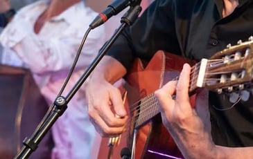 Michel Pellegrino : dans l'univers de Georges Brassens