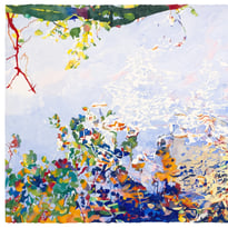Jardin miroir, une rétrospective de Jean-Paul Agosti