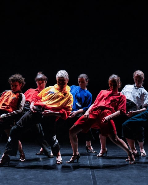 Compagnie Leïla Ka - Lullaby Shot
