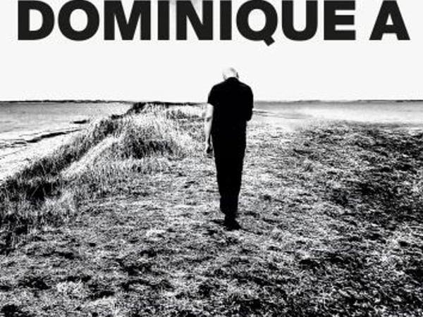 Dominique A