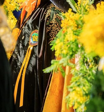 Fête du Mimosa