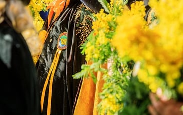 Fête du Mimosa