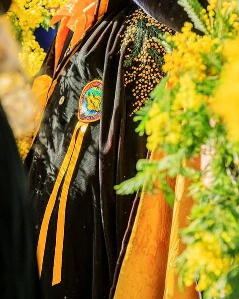 Fête du Mimosa