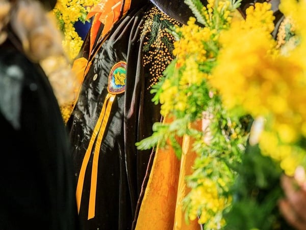 Fête du Mimosa