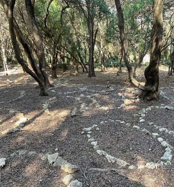 Sur les traces d'une mémoire oubliée : le cimetière musulman de l'île Sainte-Marguerite