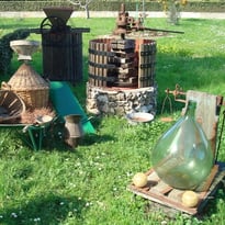 Jardin Propriété Marro