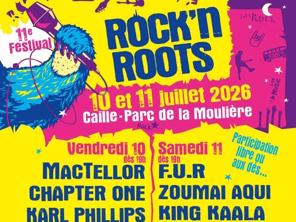 Festival Rock N Roots