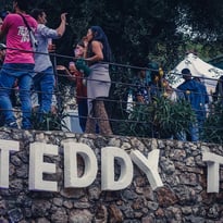Teddy Ted Festival