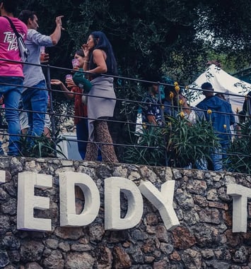 Teddy Ted Festival