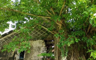 Visite commentée de l'Habitation Dufferet