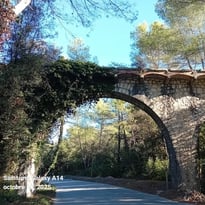 Visite guidée : Le Petit Montmartre et le circuit du Tramway