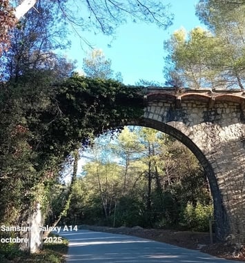 Visite guidée : Le Petit Montmartre et le circuit du Tramway