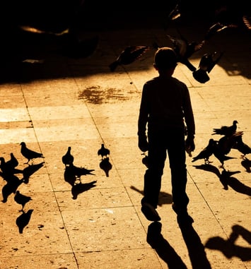 Le Petit Garçon avec une ombre d'oiseau