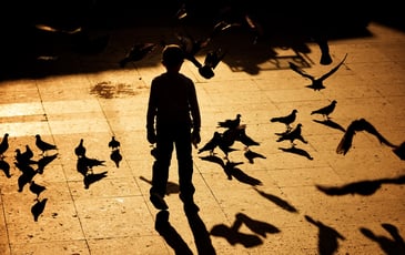 Le Petit Garçon avec une ombre d'oiseau
