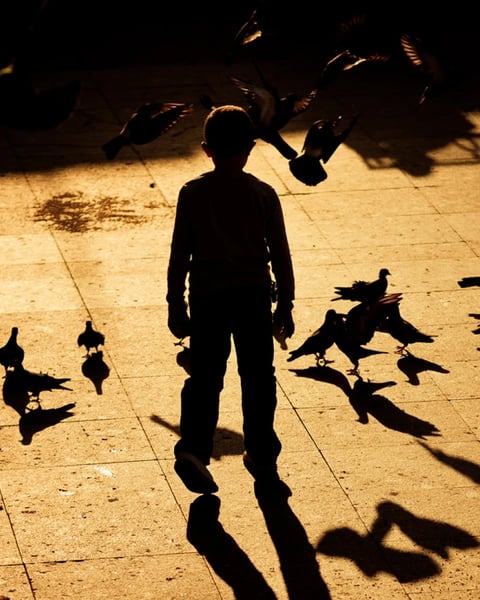 Le Petit Garçon avec une ombre d'oiseau
