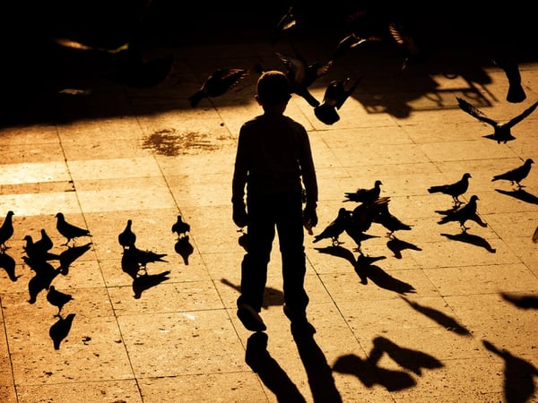 Le Petit Garçon avec une ombre d'oiseau