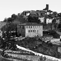 Exposition : Gomot, 50 ans de regards