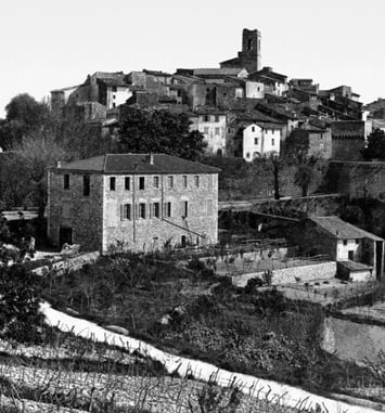 Exposition : Gomot, 50 ans de regards