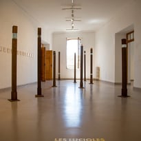 Visite guidée de l'exposition "Les Lucioles"