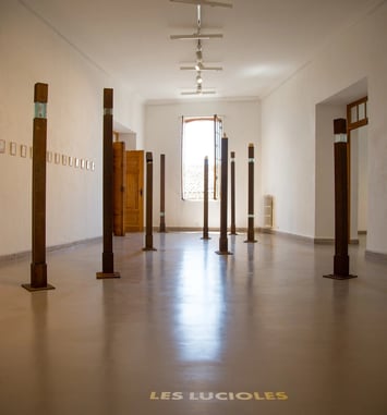 Visite guidée de l'exposition "Les Lucioles"
