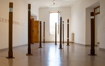 Visite guidée de l'exposition "Les Lucioles"