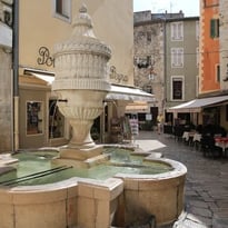Visite guidée "Vence dessinée"