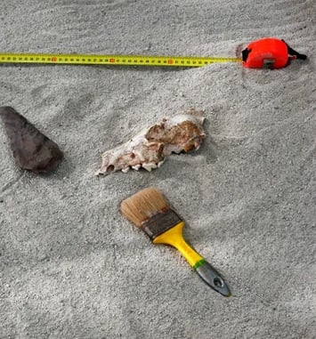 Atelier d'initiation à la fouille archéologique