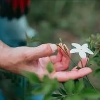 Visite immersive au cœur des savoir-faire du Pays de Grasse