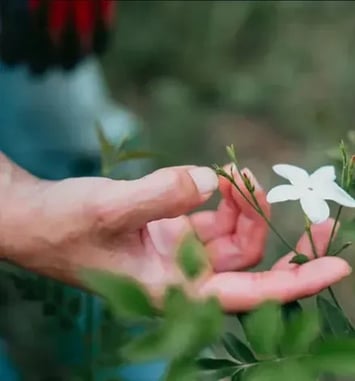 Visite immersive au cœur des savoir-faire du Pays de Grasse