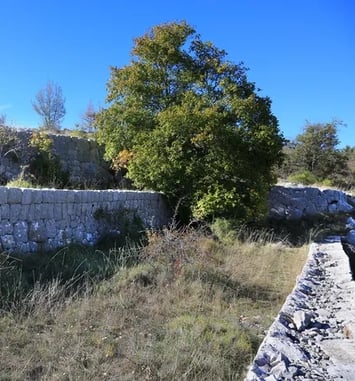Rando patrimoine : "Les fragiles richesses du Plan des Noves"