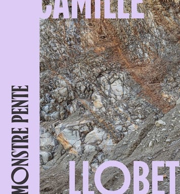 Monstre Pente - exposition personnelle de Camille Llobet