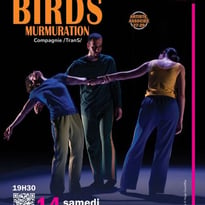 Birds Murmuration