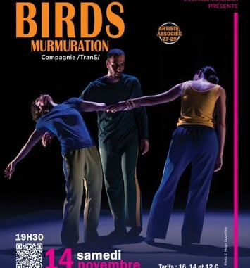 Birds Murmuration