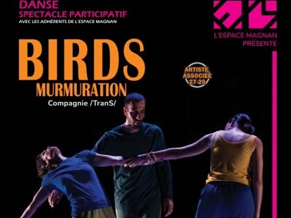 Birds Murmuration