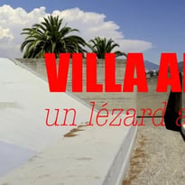 Villa Arson, un lézard au soleil, film de Stefan Cornic