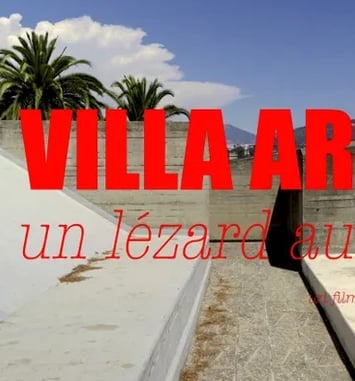 Villa Arson, un lézard au soleil, film de Stefan Cornic
