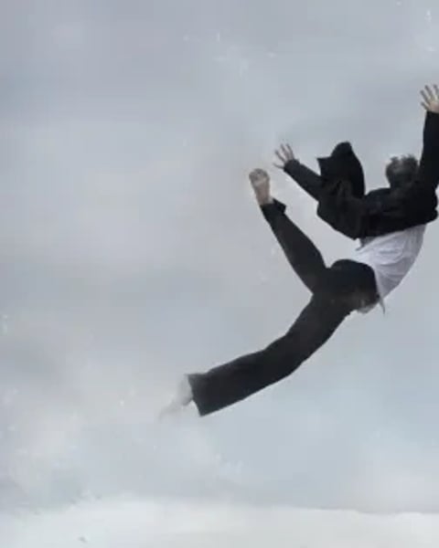 Pingouin