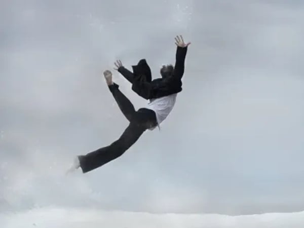 Pingouin