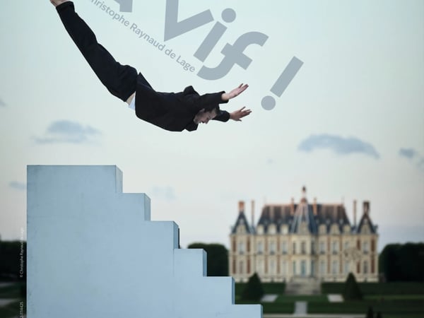 À VIF ! par Christophe Raynaud de Lage
