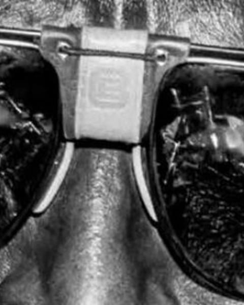Miles Davis, la Grande Parade, Ripo invite Umberto Germinale
