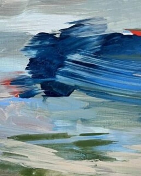 Paysages Libres - Caroline Cotto