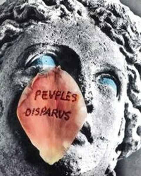 Mémoires des ruines