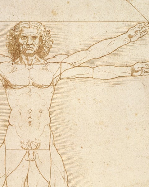 Léonard de Vinci, à la croisée des Arts et des Sciences
