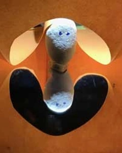 Chifumi